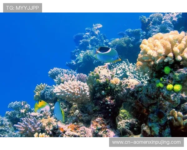 海洋之神旗舰厅注册平台全面指南助你轻松开启海底探险之旅