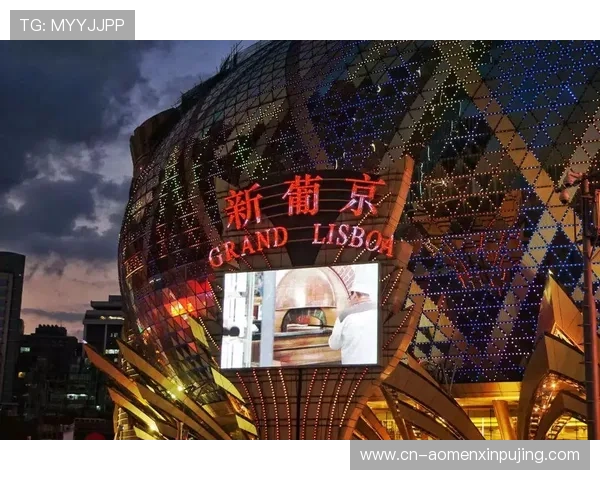 澳门新葡京国际登录用户评价与体验分享，了解真实玩家的使用感受与建议