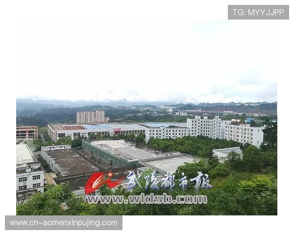 如何通过hkjc投注户口app实现便捷投注和资金管理提升您的投注效率