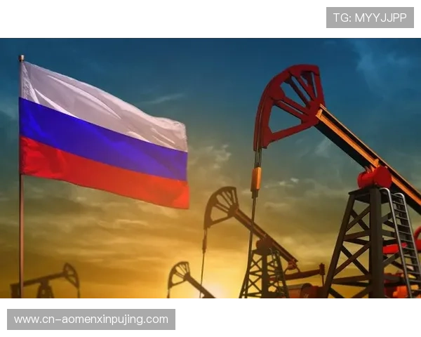 新普京在哪里出现,分析普京近期的公开露面地点与行程安排