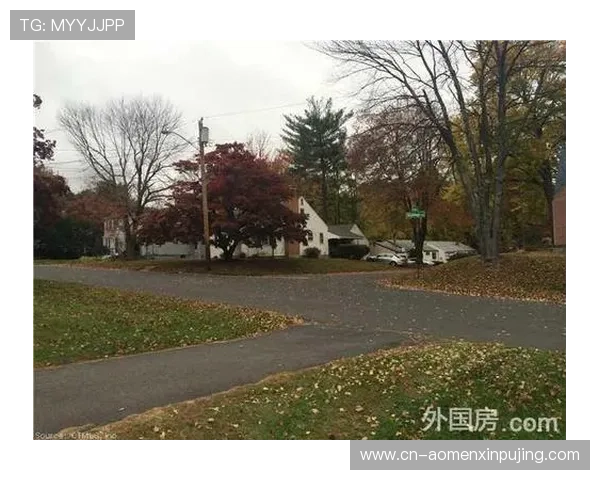 温莎国际：如何选择适合自己的温莎国际物业类型与购房方案